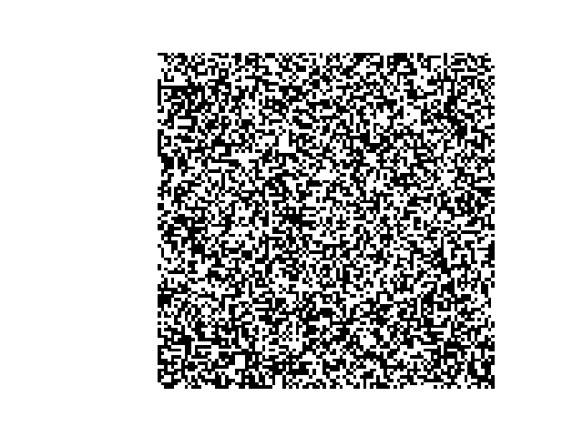 A 100x100 grid of random black and white pixels